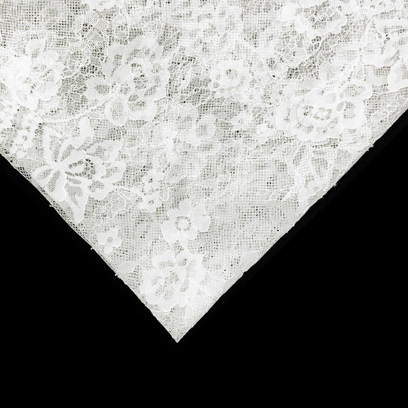 Dress Wave Cutwork Nylon Lace Fabric for Women's Wear Wholesale Suppli 9